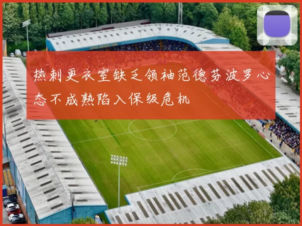 热刺更衣室缺乏领袖范德芬波罗心态不成熟陷入保级危机